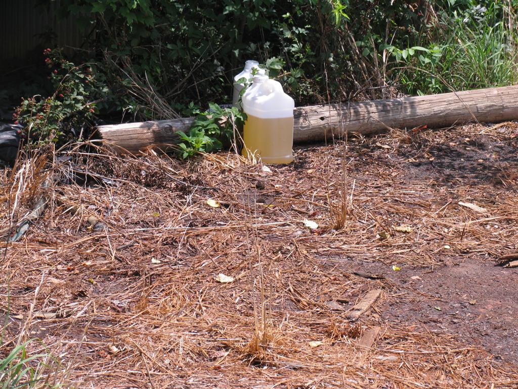 nitrogen dump